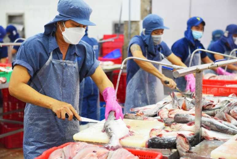 Mỹ tăng thuế chống bán phá giá, cá tra Việt Nam thêm áp lực tại thị trường lớn